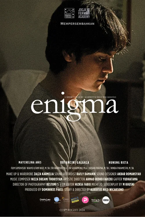 Enigma постер