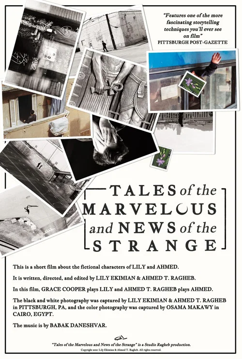 Tales of the Marvelous and News of the Strange постер