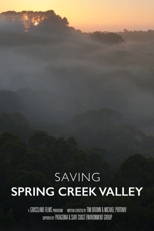 Saving Spring Creek Valley постер