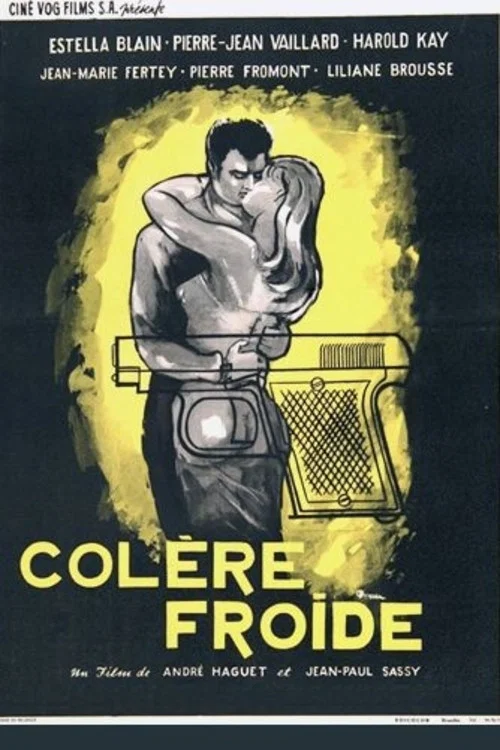Colère froide постер