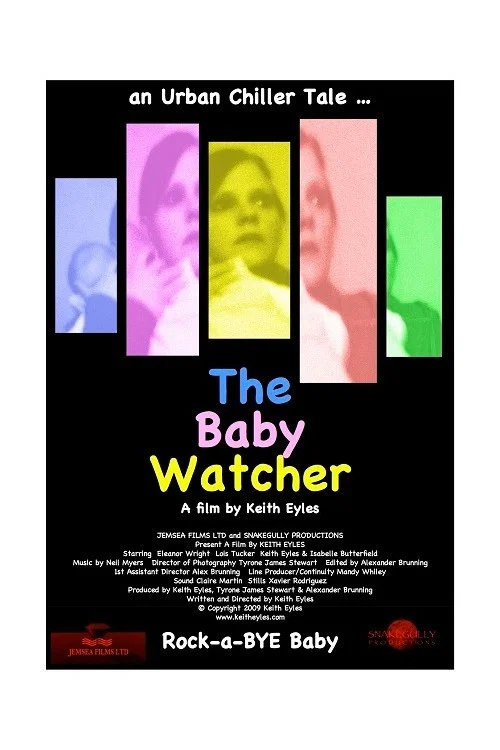 The Baby Watcher постер
