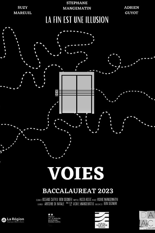 Voies постер