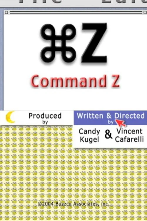 Command Z постер
