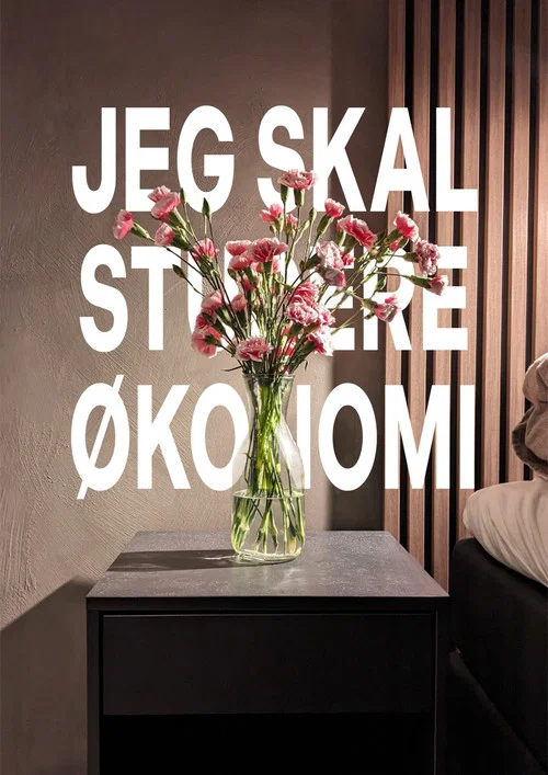 Jeg skal studere økonomi постер