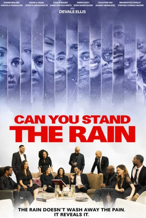 Can You Stand The Rain постер