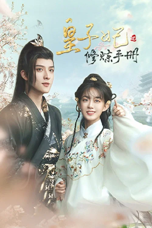 皇子妃修炼手册 постер