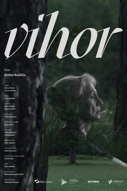 Vihor постер