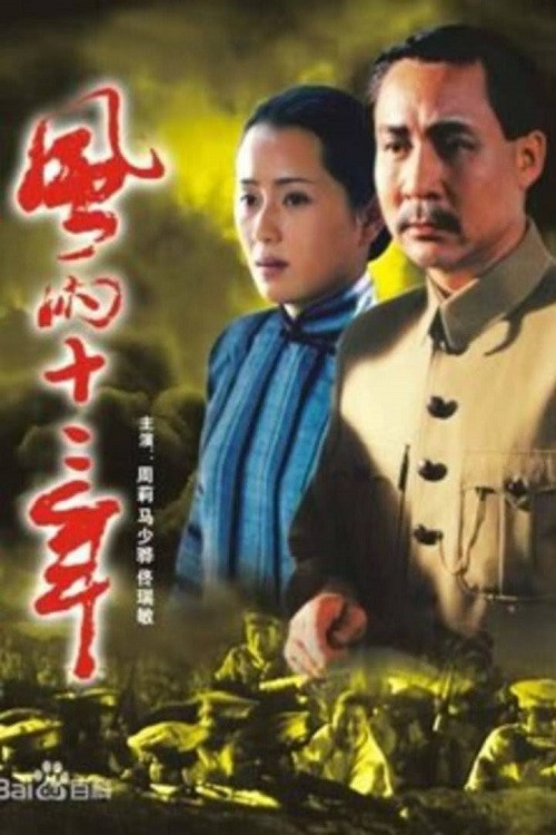 风雨十二年 постер