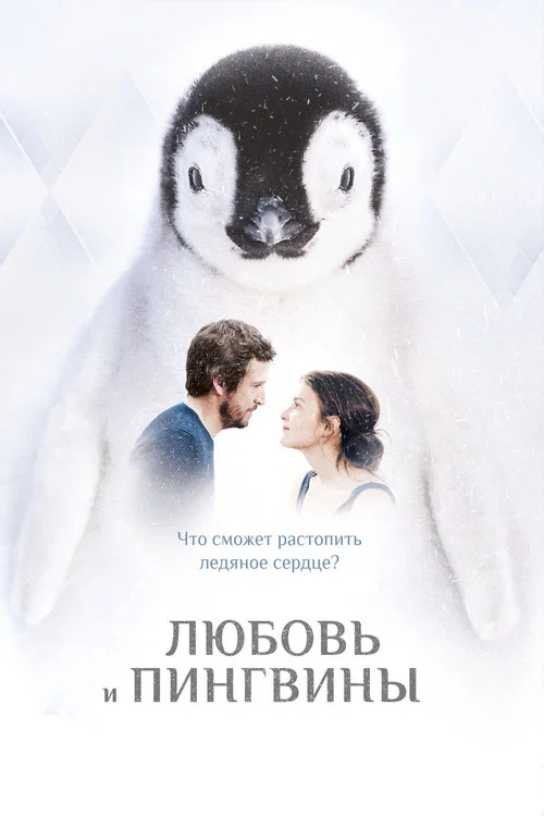 Любовь и пингвины постер