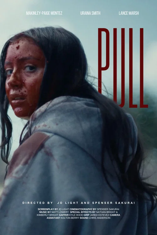 Pull постер