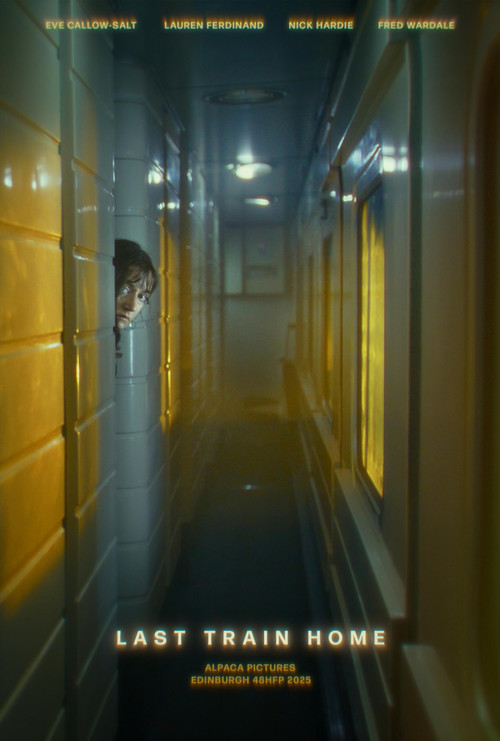 Last Train Home постер