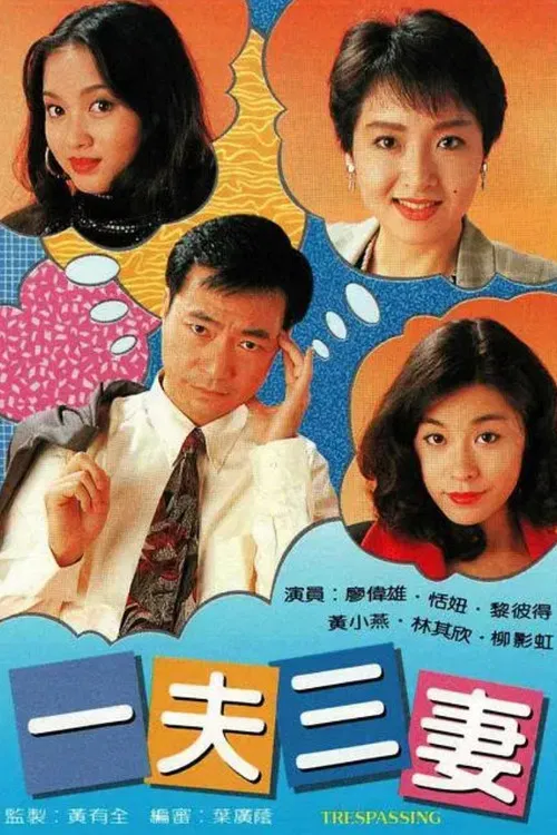 一夫三妻 постер