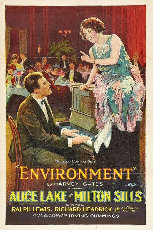 Environment постер