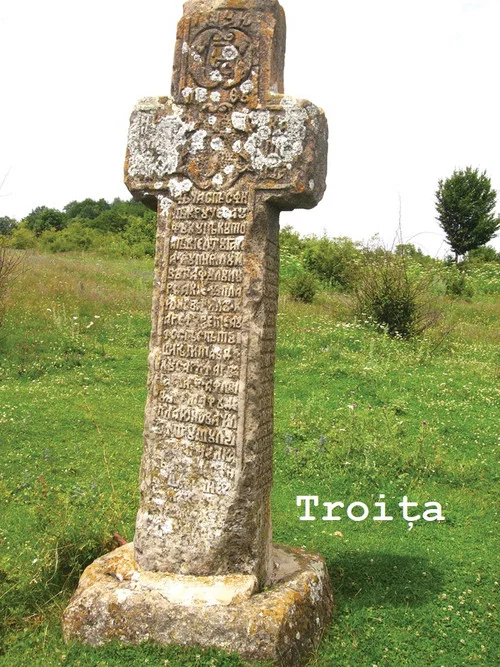 Troița постер