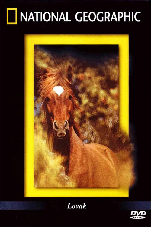 The Noble Horse постер