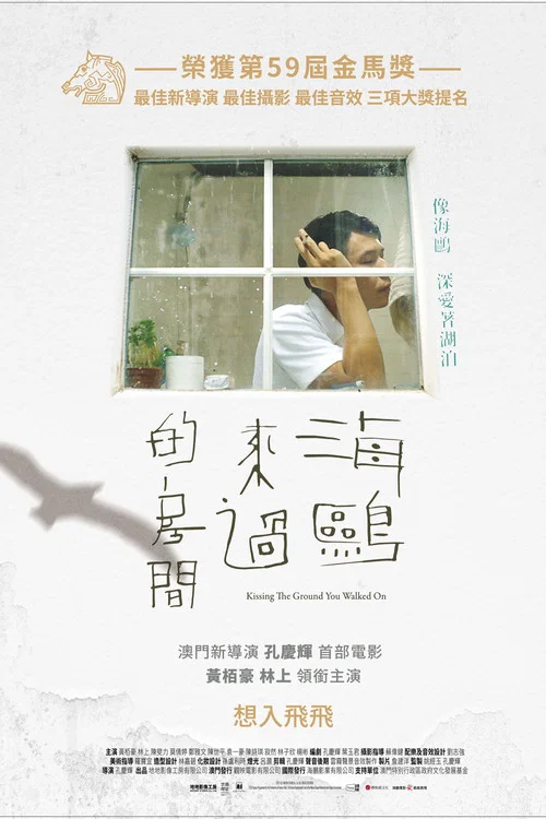 海鷗來過的房間 постер