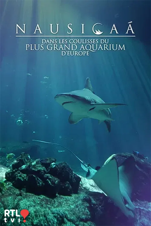Nausicaá : Dans les coulisses du plus grand aquarium d'Europe постер