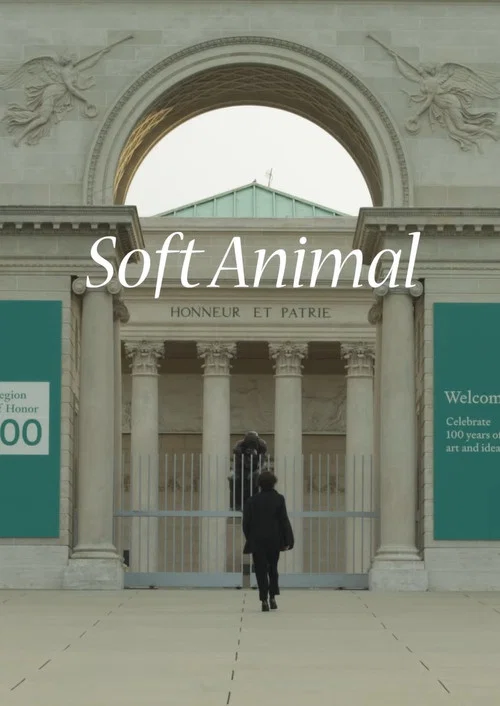Soft Animal постер