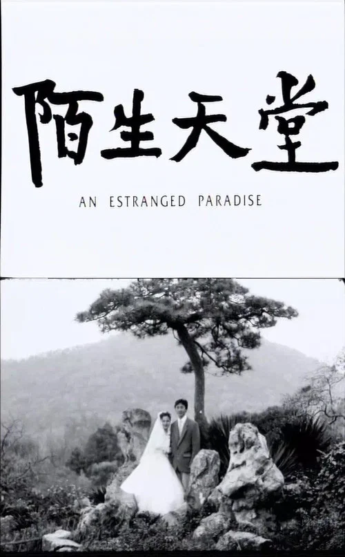 陌生天堂 постер