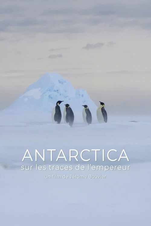 Antarctica, sur les traces de l'empereur постер