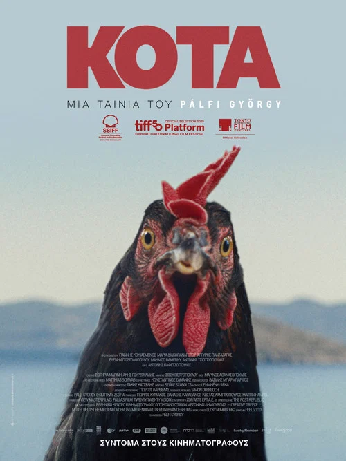Курочка. Пух и прах постер
