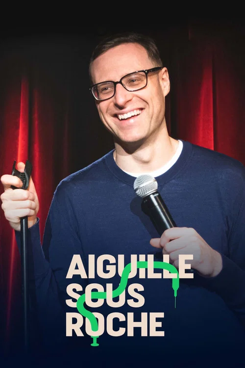 Aiguille sous roche постер