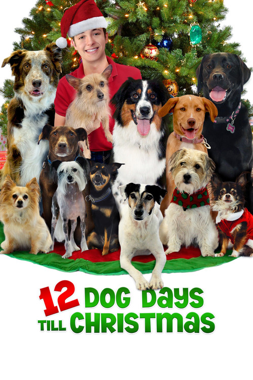 12 Dog Days Till Christmas постер