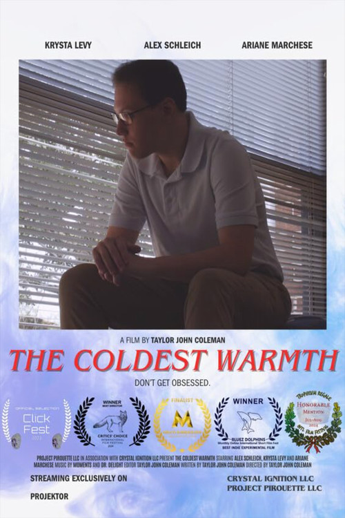 The Coldest Warmth постер