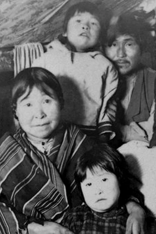 Labrador North постер