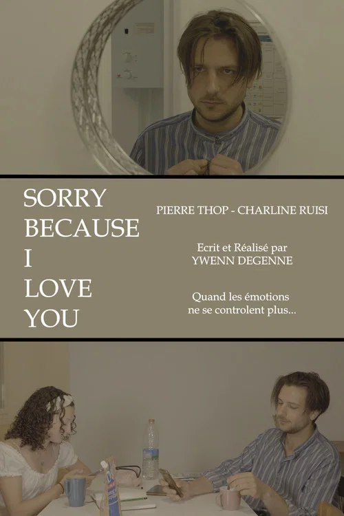 Sorry Because I Love You постер