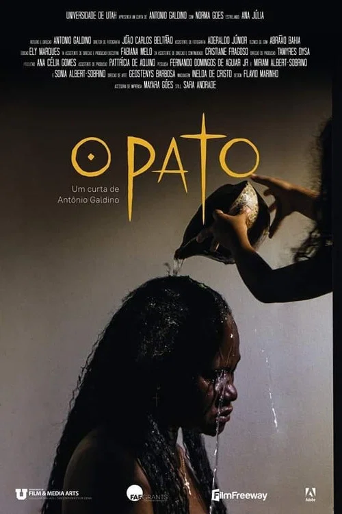O Pato постер