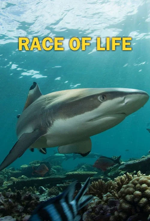 Race of life постер
