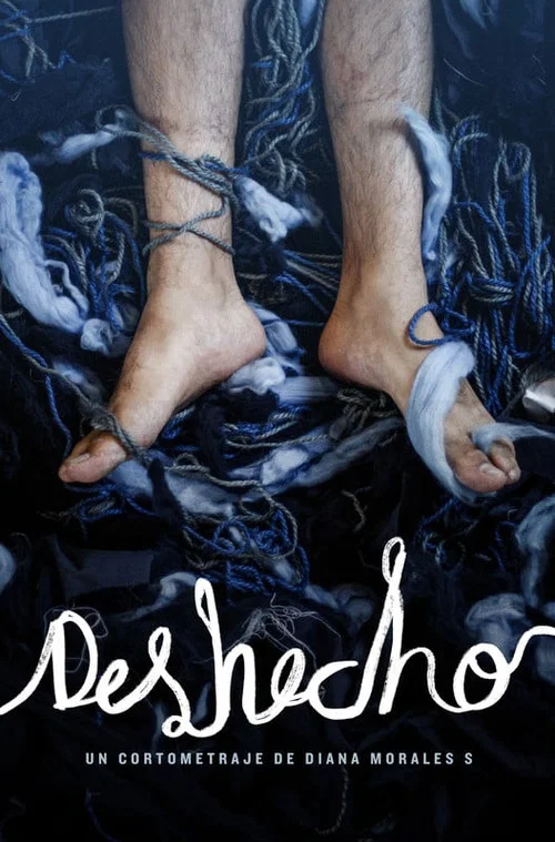 Deshecho постер