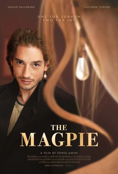 The Magpie постер
