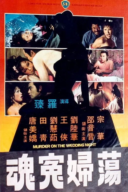蕩婦冤魂 постер
