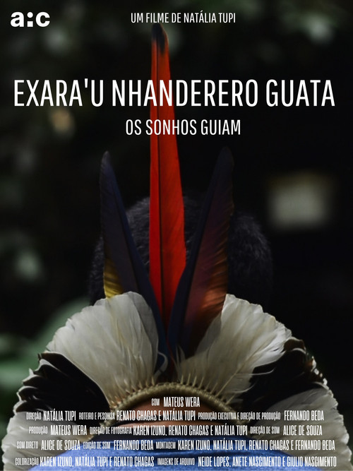Os Sonhos Guiam постер