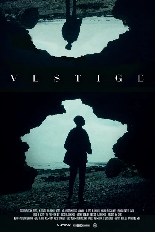 Vestige постер