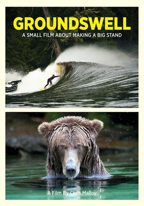 Groundswell постер