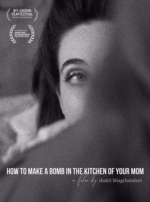 How to Make a Bomb in the Kitchen of Your Mom постер