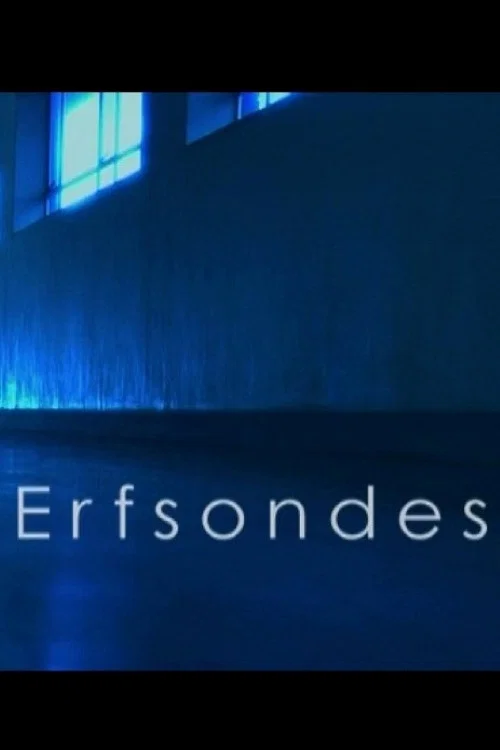 Erfsondes постер
