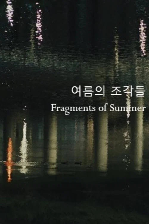 여름의 조각들 постер