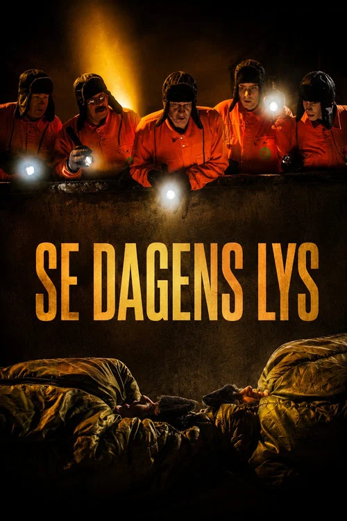 Se dagens lys постер