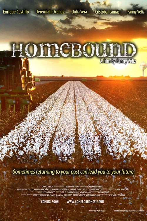 Homebound постер
