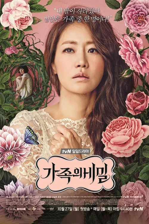 가족의 비밀 постер