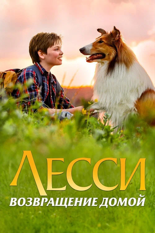 Лесси. Возвращение домой постер