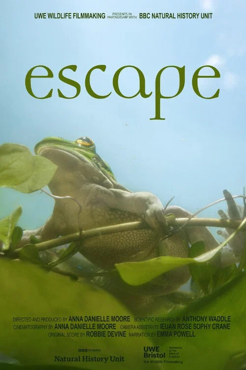 Escape постер