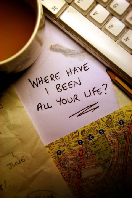 Where Have I Been All Your Life? постер
