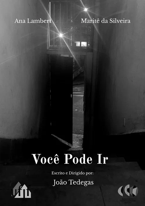 Você Pode Ir постер