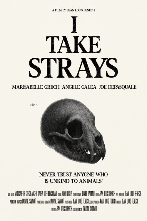 I TAKE STRAYS постер