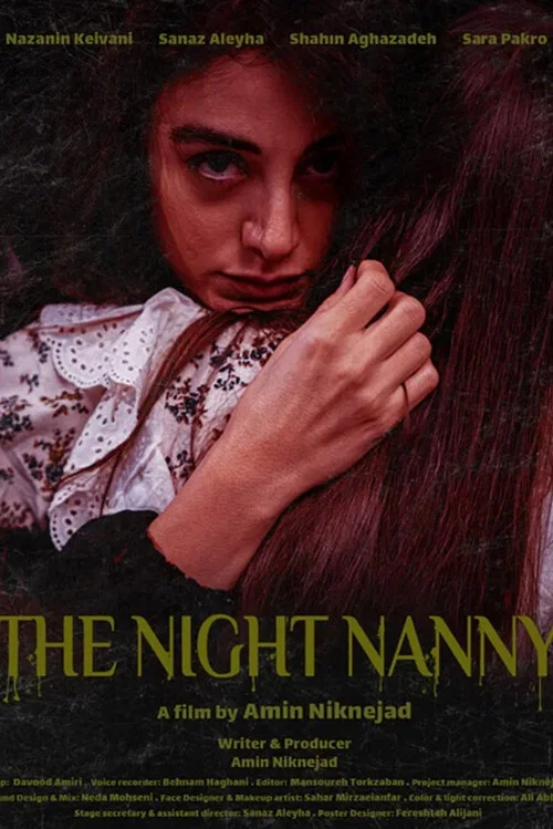 The Night Nanny постер